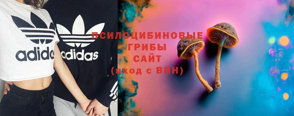 бошки Алексин