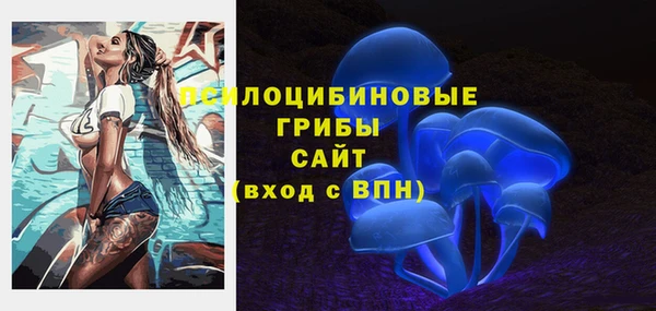 крисы Алексеевка