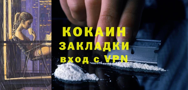 соль ск Алзамай