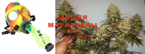 бошки Алексин